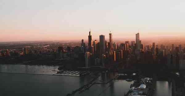 公司室内盆栽四季常青又耐寒的绿植