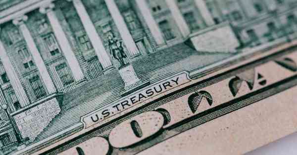 公司室内盆栽四季常青又耐寒的绿植