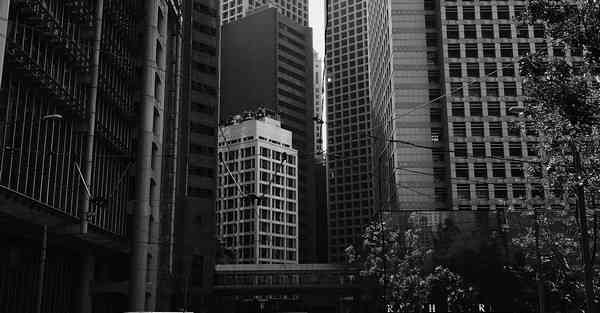 公司义务活动策划