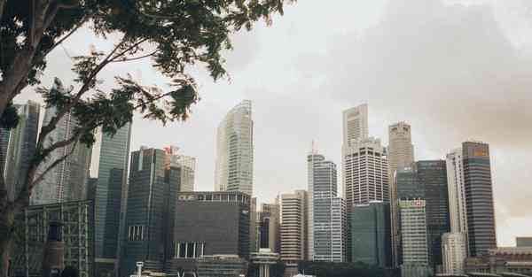 上海活动策划公司排行榜_上海活动策划公司