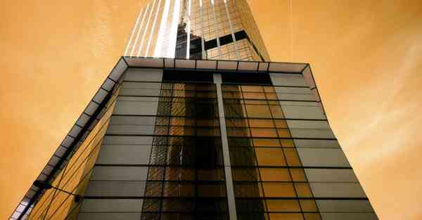 行业自律组织是什么意思