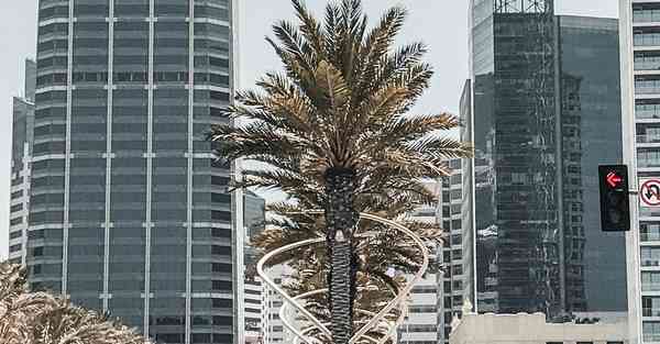 公司周年庆活动策划_公司周年庆活动策划物料