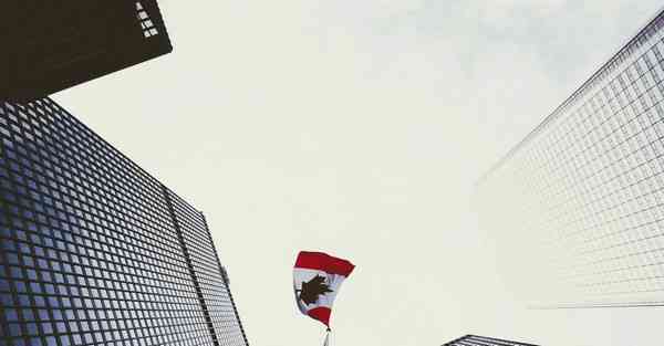 公司团队活动团队展示