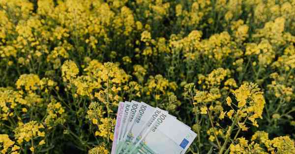 公司活动主题名字_公司活动主持词开场白和结束语