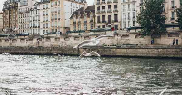 济南活动策划专业_济南活动策划专业演出