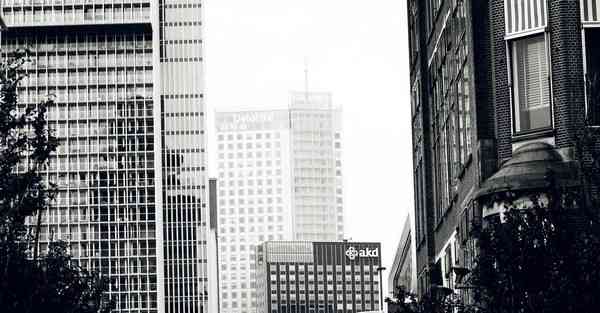 活动主题名称创意_活动主题名称大全四个字