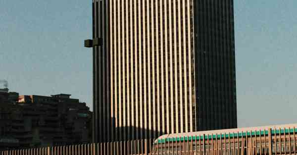 行业自律组织是什么意思