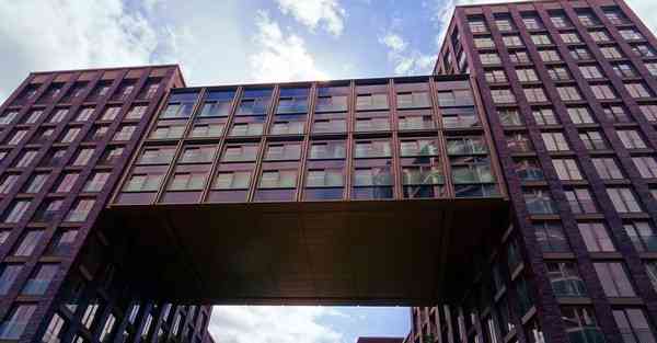 公司法人的要求有哪些