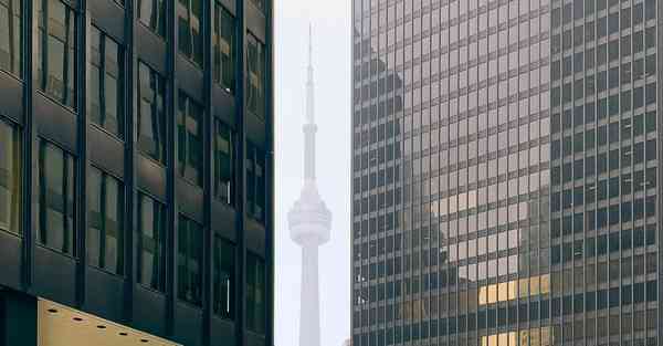 公司的车怎么查违章在手机上