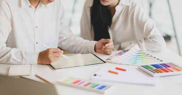 公司室内盆栽植物_公司室内盆栽