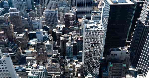 上海公司购车政策2025