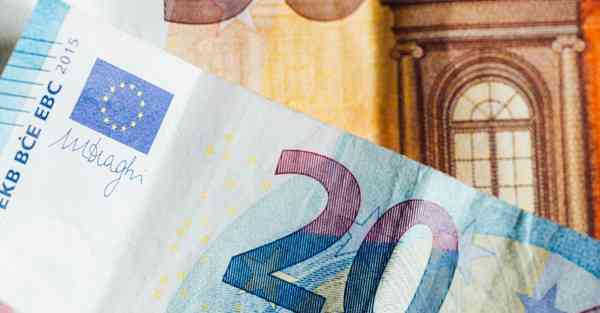 公司室内盆栽四季常青又耐寒的绿植