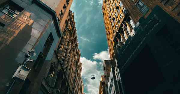 公司室内盆栽植物_公司室内盆栽