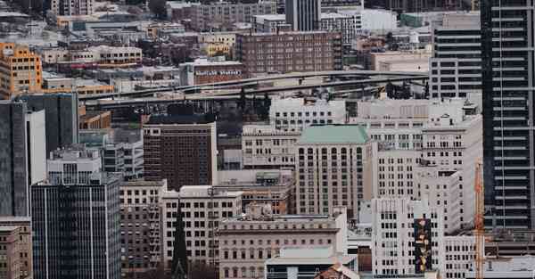 行业自律组织有哪些_行业自律组织有哪些类型