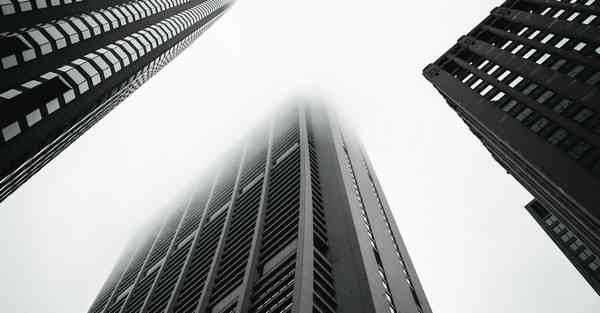 公司团队活动团队展示