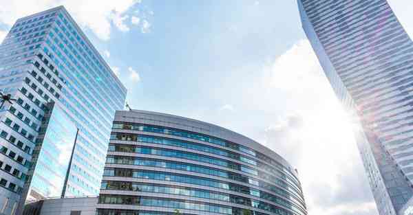 公司室内盆栽_公司室内盆栽四季常青又耐寒的绿植