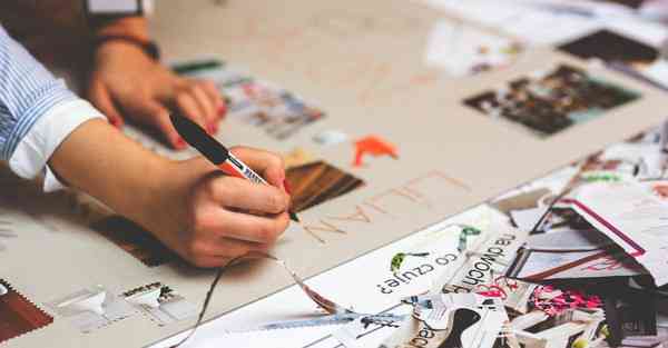 公司室内盆栽四季常青又耐寒的绿植