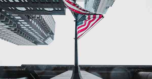 公司室内盆栽_公司室内盆栽四季常青又耐寒的绿植