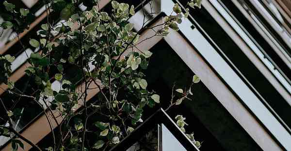 外卖活动攻略_外卖活动定价